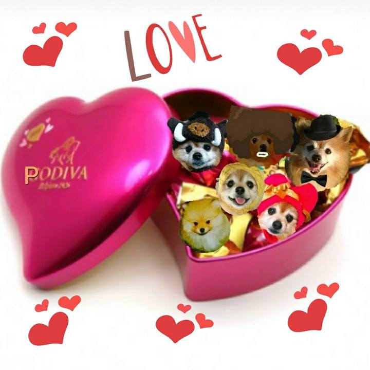 8626daac 4c78 44da b346 ef4632bf3299 1550096062781