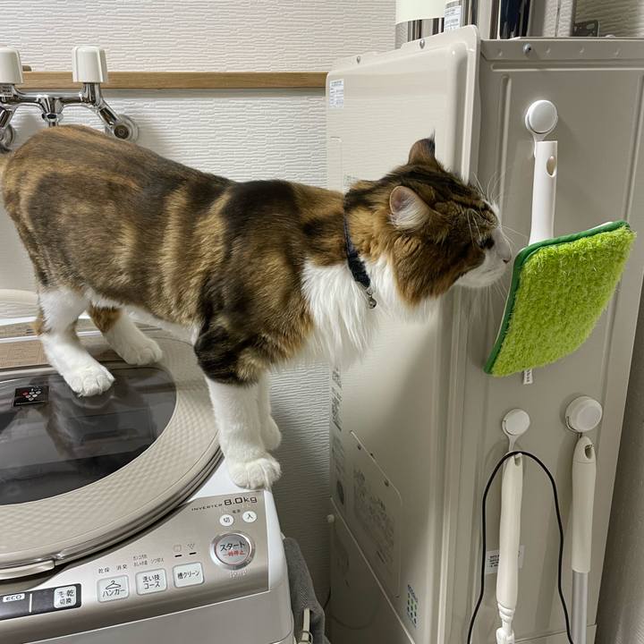 86273011 8af2 4af4 9533 5a5df50e997f 1661722285484