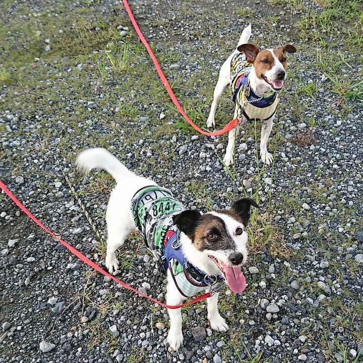 86273b80 44bc 482c 9623 392f7d510856 1590313378429