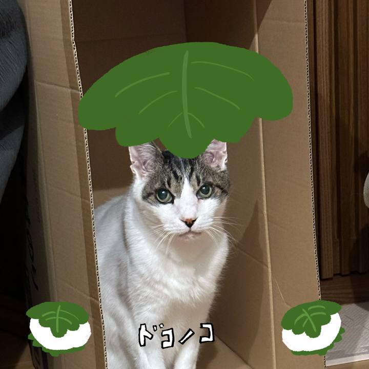 8627937b 2c9a 428e b826 c5eb92b01cf6 1749284494253