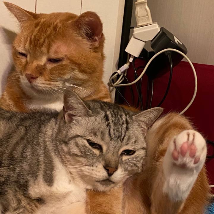 8628054f b4fd 42d8 8c3b e72dc94111a7 1582829477264