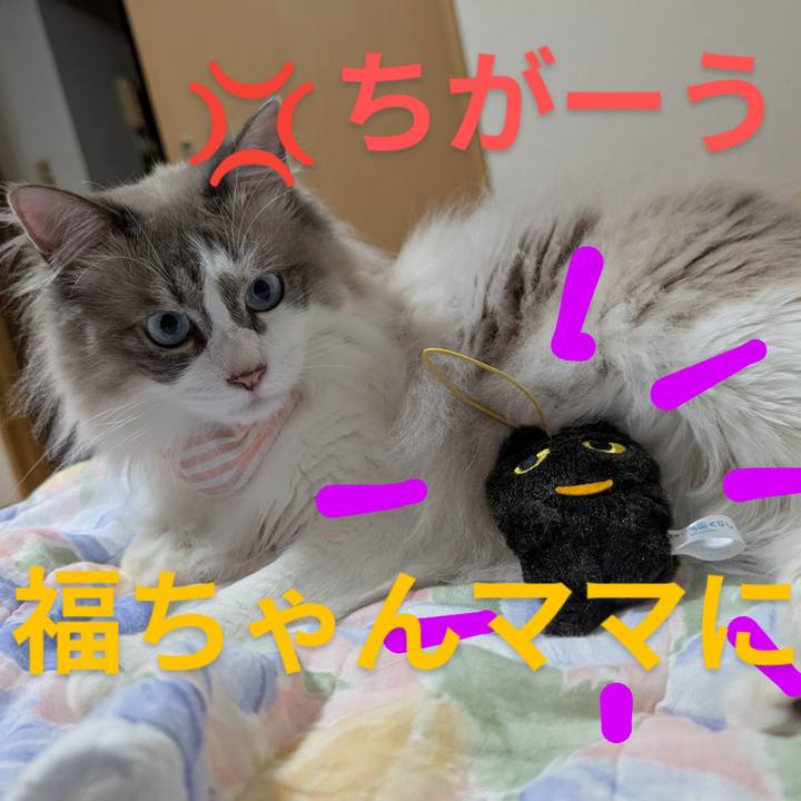 86281080 6520 42c5 b50c a832118065ab 1750362383909