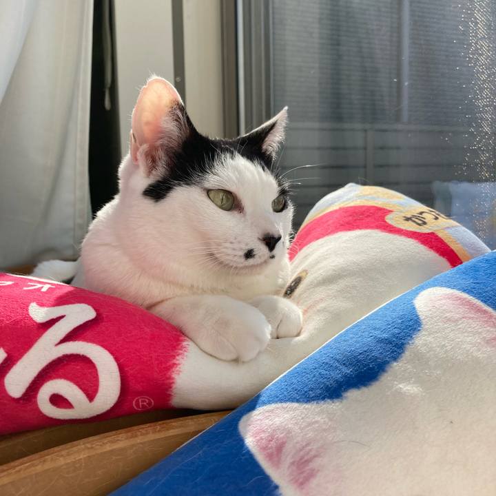 86285da7 c045 45b3 9509 9faa9142e19e 1771035273363