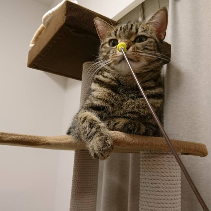 86285fd1 8cb9 4265 984e ddcc0867089e 1513083310362