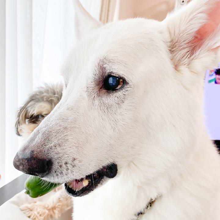 8628690c 2df6 4f26 b721 f0ed1ebf3a0a 1658118632611