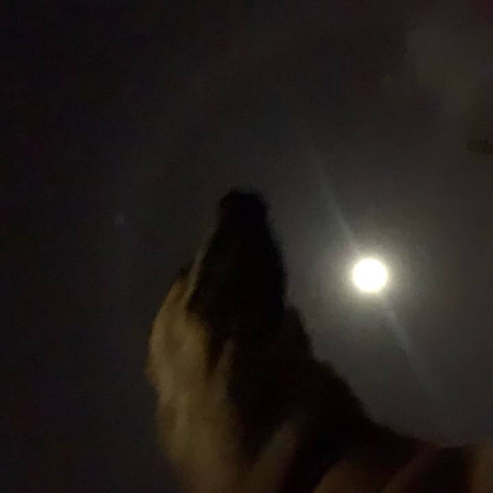 86288f46 1c68 4133 aaa7 cd793083f5d3 1583759150961