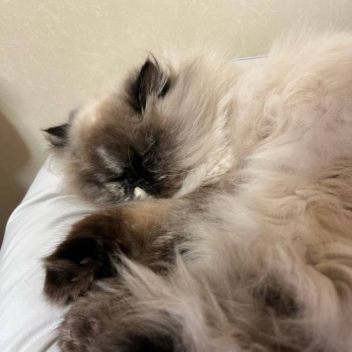 8628b337 3eee 4a10 b722 d39cdff36895 1711979269559