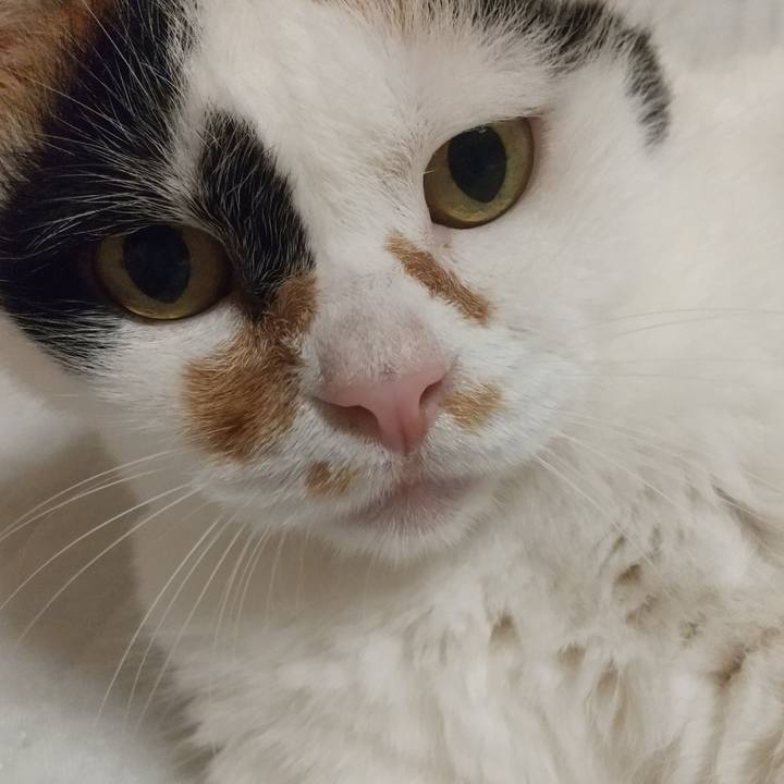 862916ab 1486 47db 8669 919e170b9aec 1692453961449