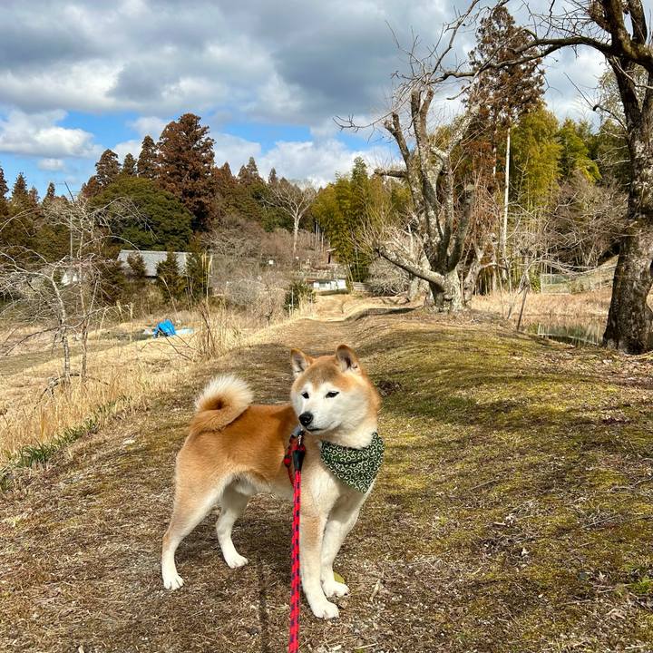 8629181b 9671 40e4 93d2 aa0429177546 1707469919590