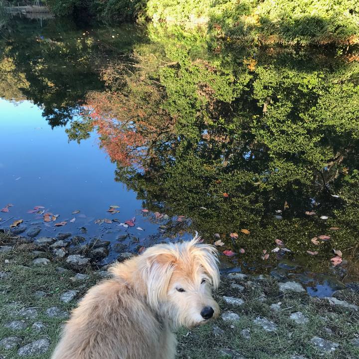 86292e5c 0e7f 4c6d 90ad 95db7ed80826 1573556098005