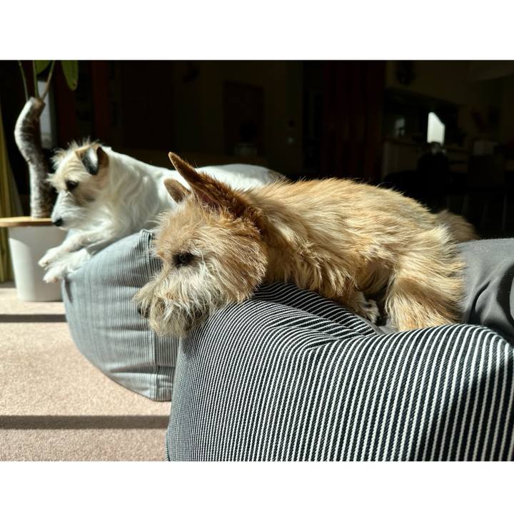 86292ec4 d62a 43cd a64c fea30ee3971c 1710747670536