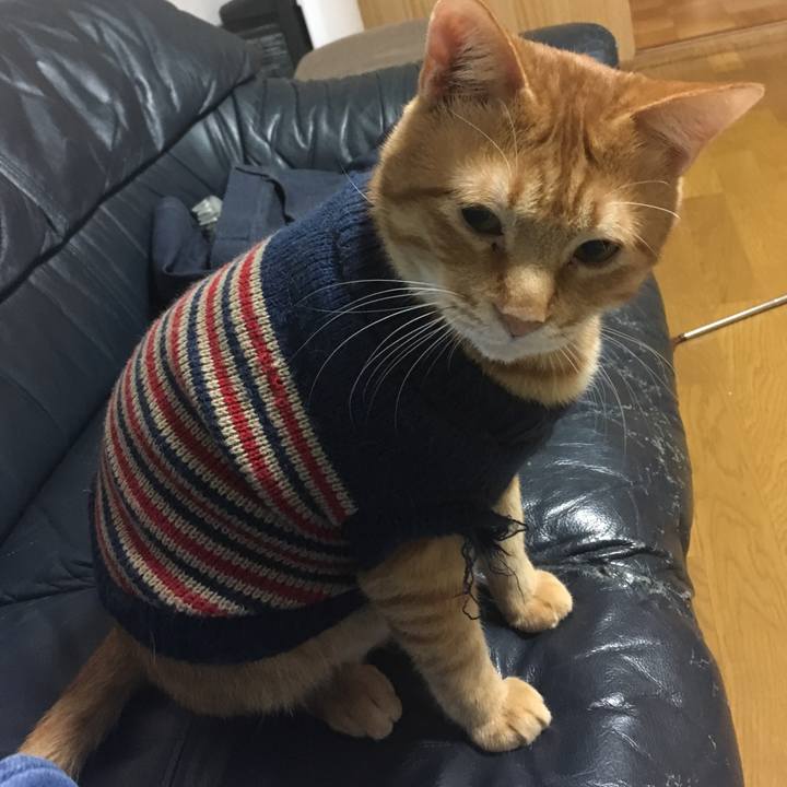 8629342c a32b 42b9 b3db 289aa4d03633 1541420227521