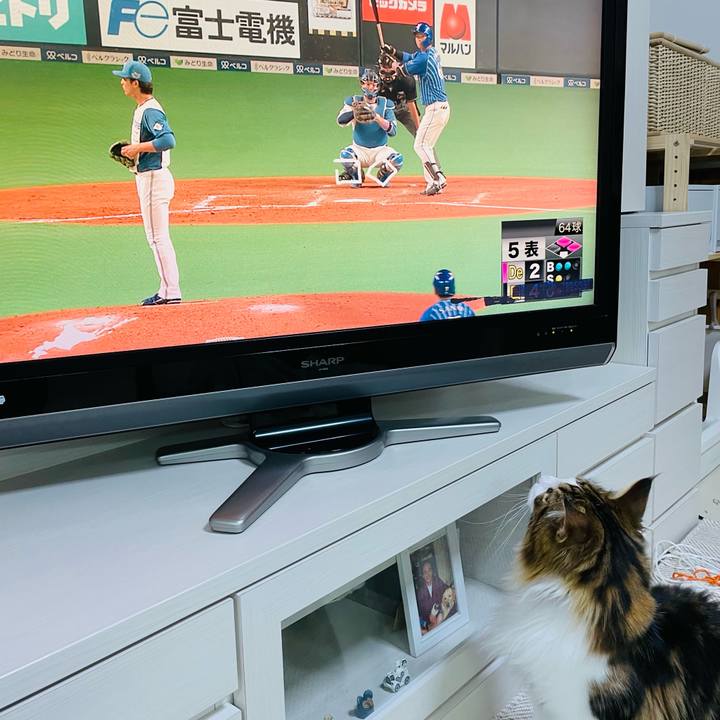 86298568 9660 4c0a 938d a5fc55717684 1654685722052