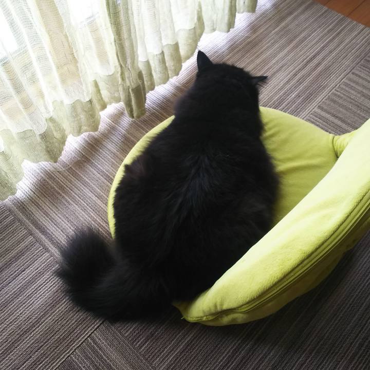 86298a1a 8c57 40df aad2 d18ff4f86252 1568330688750