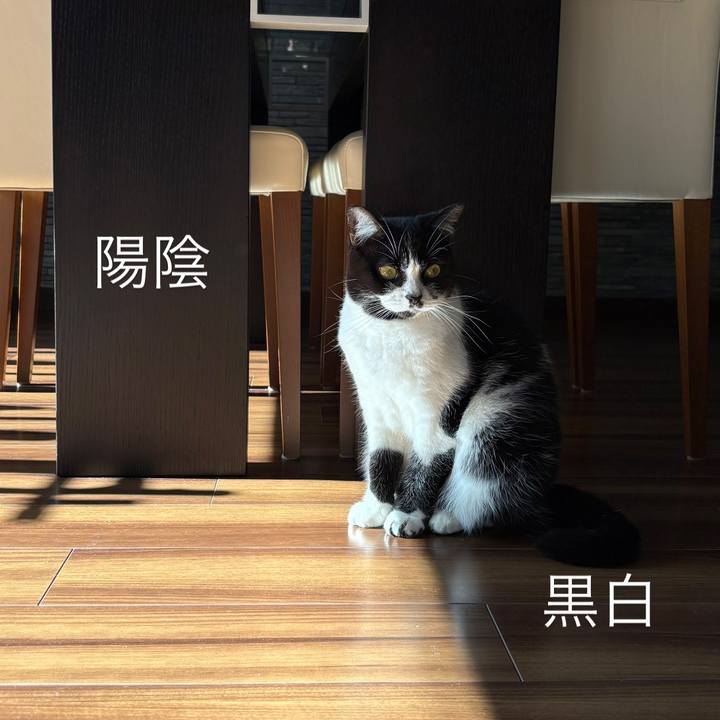 86298dd1 9076 4e73 8987 0eea94ee2e9c 1763177076244