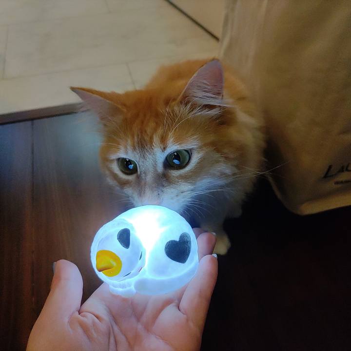 8629ab41 2042 4431 89a9 4ff5353fcffe 1659392532327