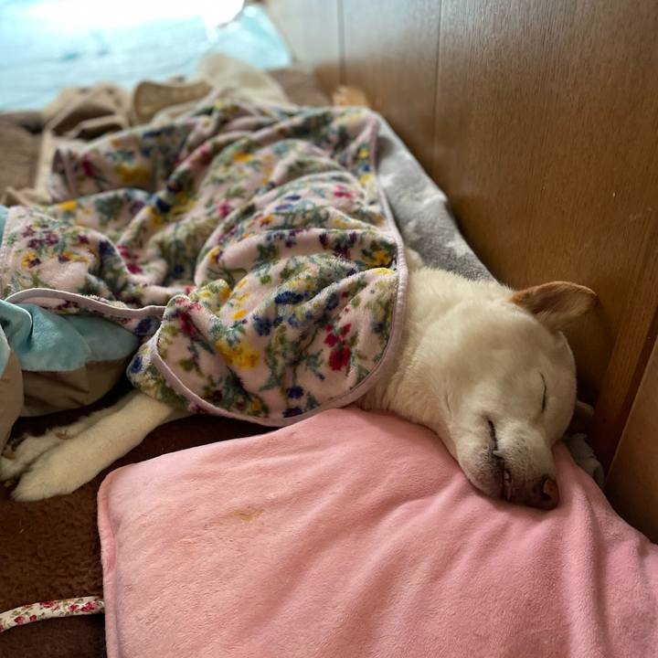 8629ce19 e9a7 48ca 84a9 16ca7af7f272 1648210236413