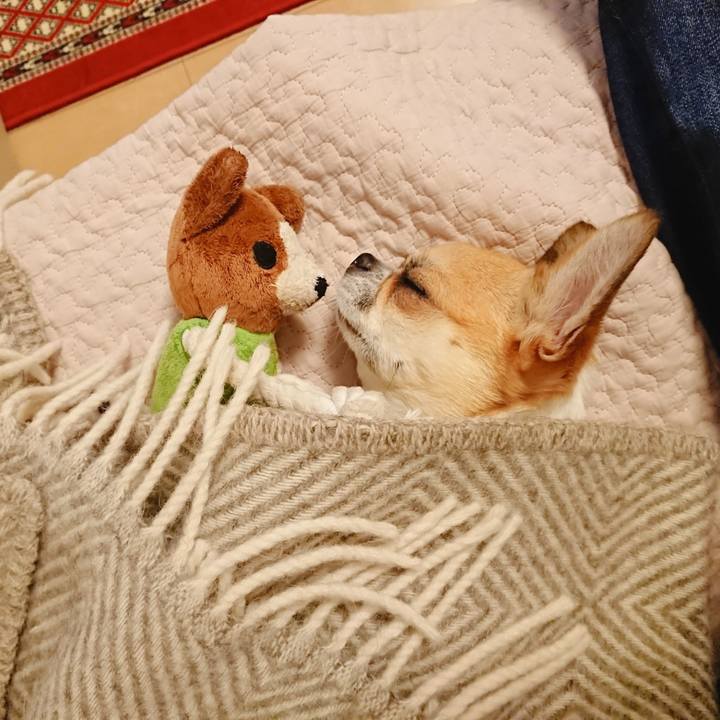 8629ce9e da6f 417f 8172 f5e5e51cf185 1592389560876