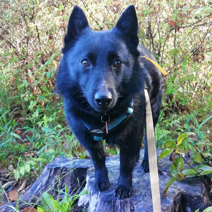 8629d3ef b9b0 470d 9a37 67804eb0bdbd 1682982755120