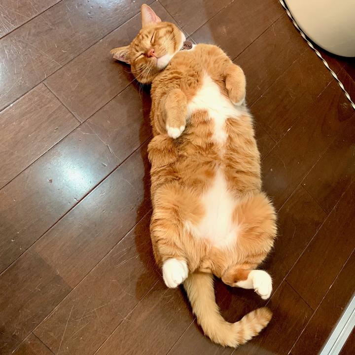 8629f9f3 b85e 4787 b166 9d17bcd1b938 1585147071618