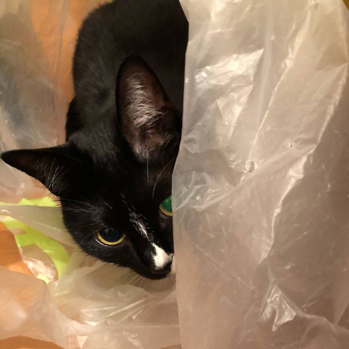 862a0175 393e 476f 8133 3dc9b9d66561 1530568202838