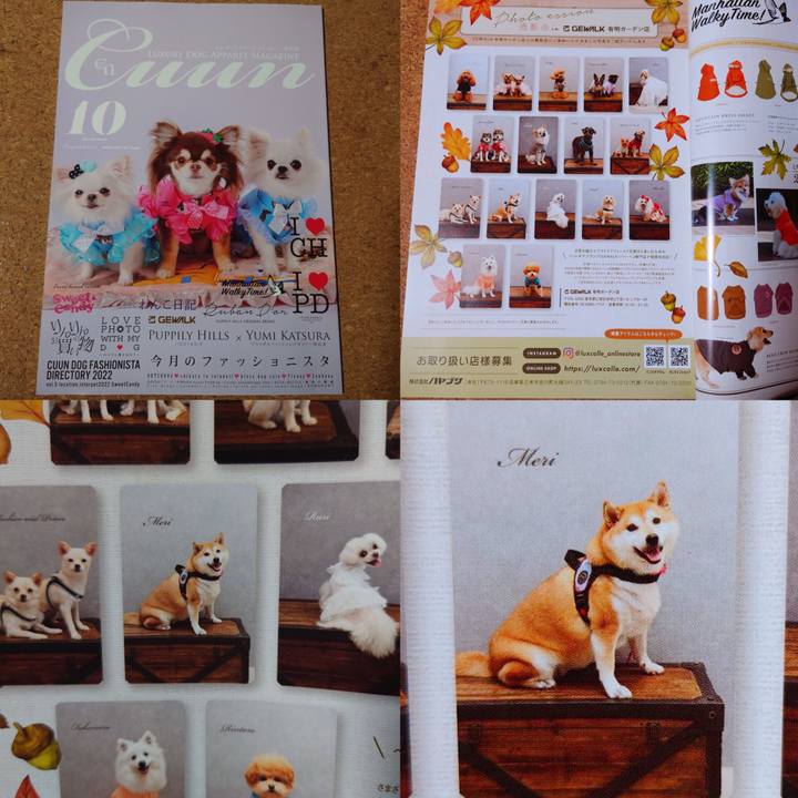 862a1429 6992 43cf b684 15348353d50f 1665569378878