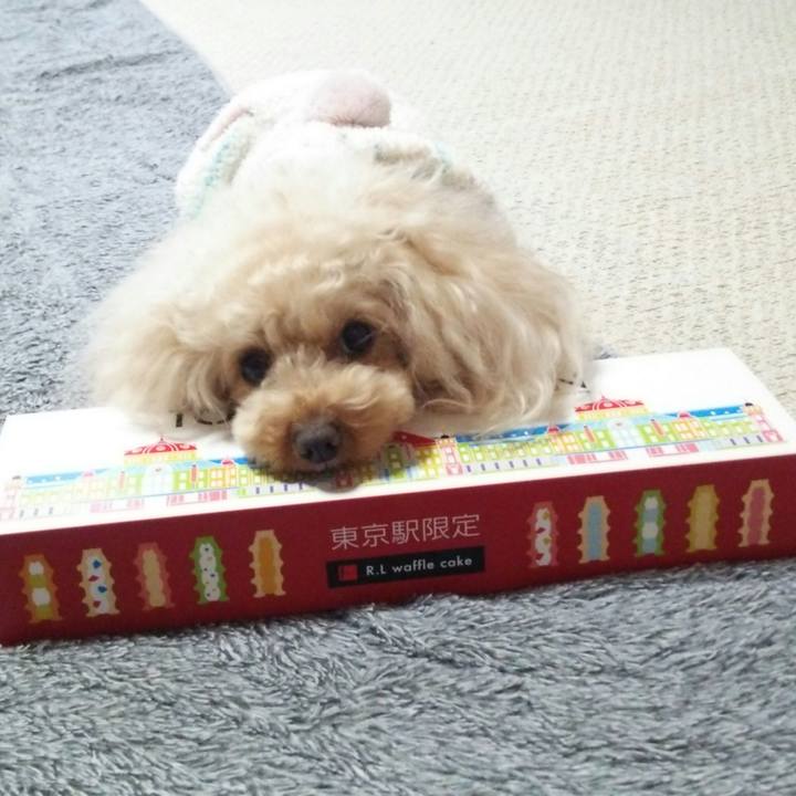 862a16db 3423 4336 9059 01d2af57b4e8 1517040005564