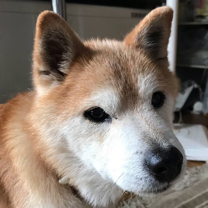 862a28ef 983e 43ba aa65 6509686aff9c 1534900576564