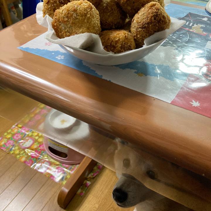 862a2957 0307 48bc b38f a53f7412ff5a 1614690263564