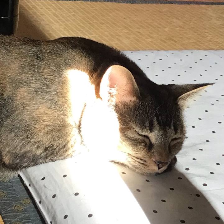 862a7ca4 8b87 4295 9a6d cef1e2646431 1628210497584