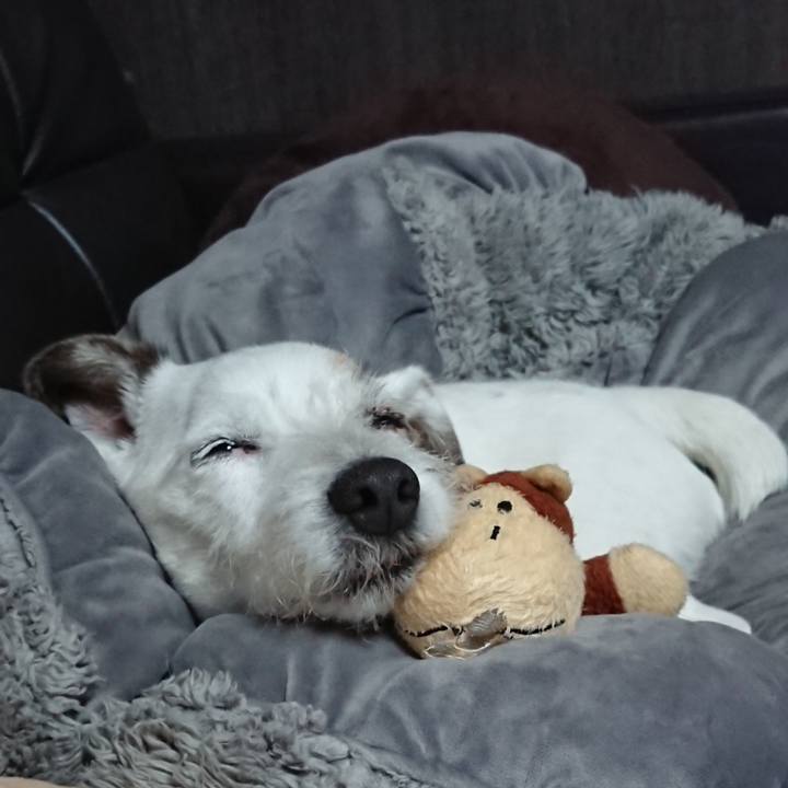 862a8996 1153 4de7 8089 94d04e76db24 1526690158157