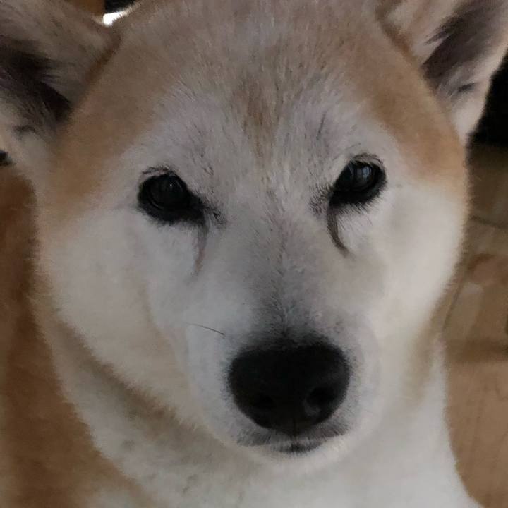 862a8b14 248b 4c66 a7d4 476b09592d6a 1536493332394