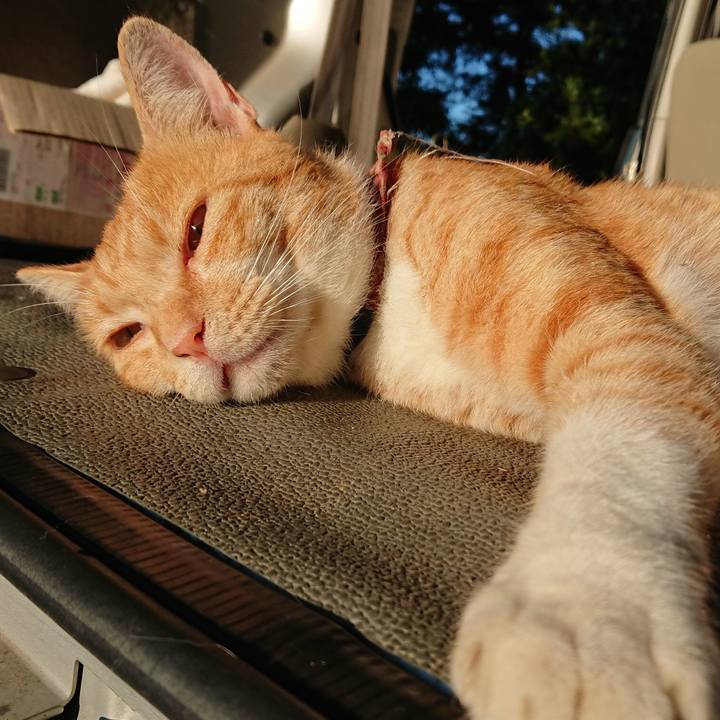 862ab495 d1ea 47ec af88 481cb65affdd 1565730297498