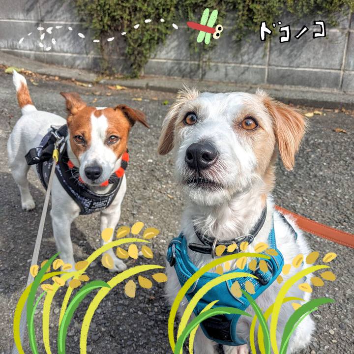 862afe28 1ce1 4423 9213 6b9b588802b0 1761700026145