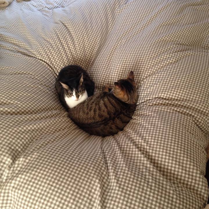 862b0f14 228f 49cb b11e 9d854898cf33 1512443097387