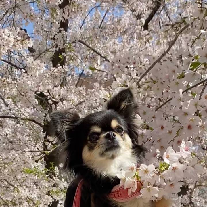 862b5b09 4c37 4b17 bc63 d69e94a25369 1617161989774