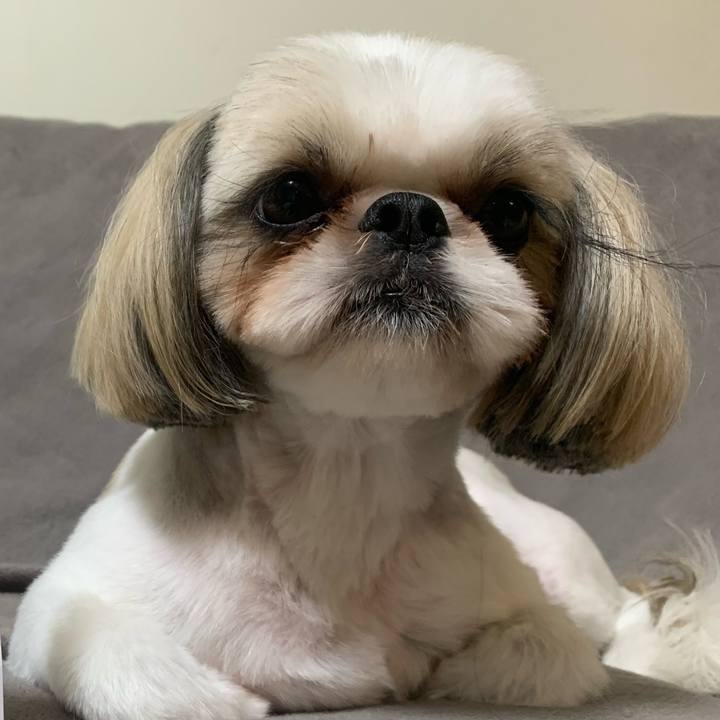 862b6e61 7984 498d a367 fd8b3bf43d64 1663414645896