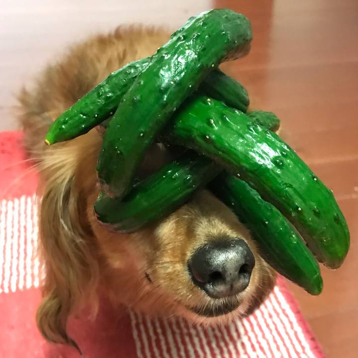 862b720e 0768 4371 8093 426df94079fd 1559988818944