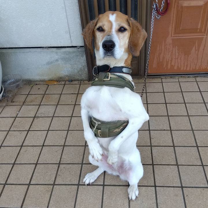 862b8af2 e4c9 4d9c 85d5 7947cd9caf08 1684305087078