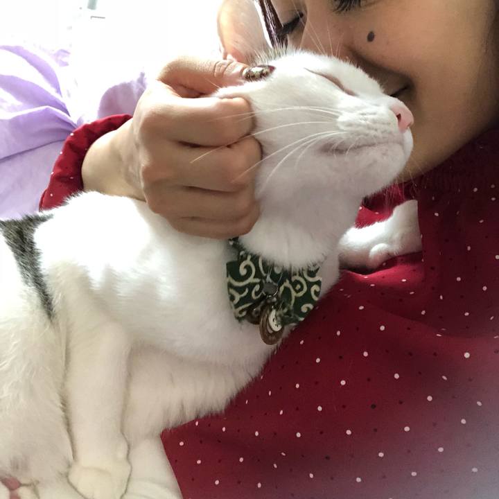 862b8ed0 5061 46b4 a4bb 90d95a3a317d 1537880400548