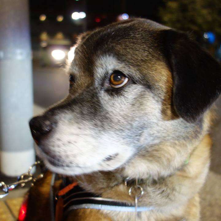 862ba2d1 6dbd 4b34 8c53 1c8cb7d55c63 1633913927555