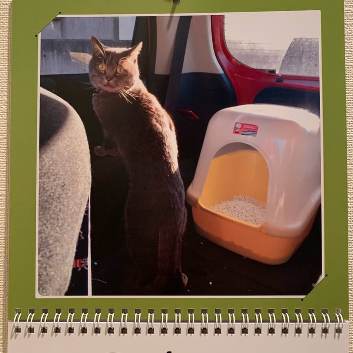 862bab74 7e6f 4a3e 964b a58b2e7b8c28 1586383352679