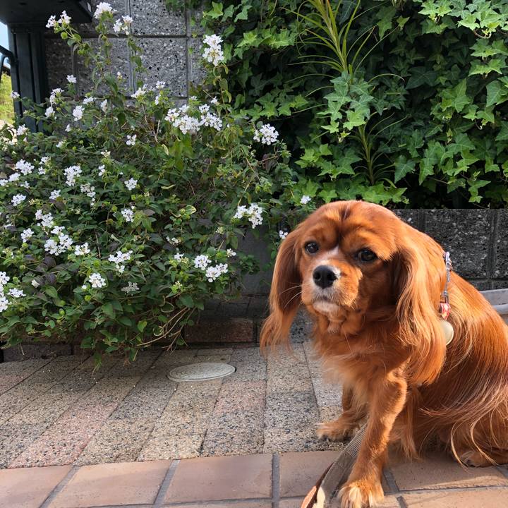 862bb1ac b13f 4d95 b0dc 6e7d3187ca4d 1572740376200