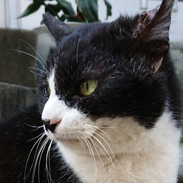 862bc671 e90f 4a4d 9350 6b1ba57c44c8 1680564361308