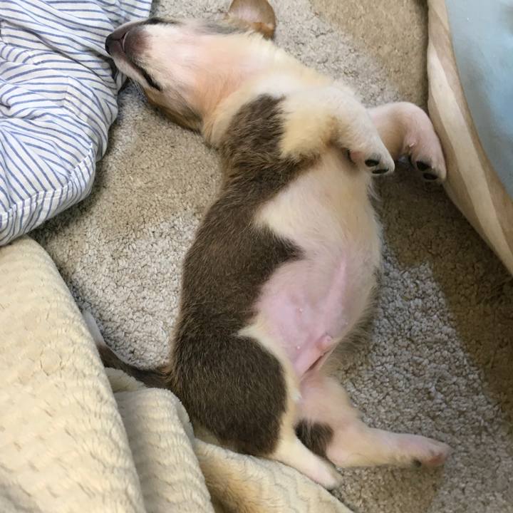 862bd2e0 ec7e 4a40 b4bf 37f6aeb56b22 1588897140732