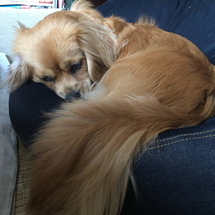 862bd536 209e 4707 a012 70d26ab0da32 1526183383768