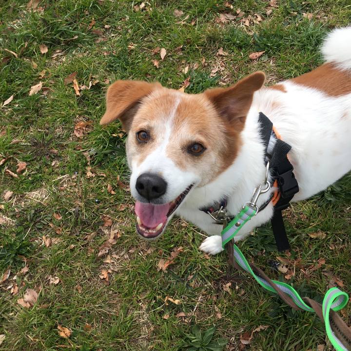 862be8fc f52a 490f 811a 5a6a1c9e8619 1553308140253