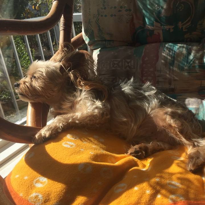 862c165d b106 4d71 84c8 7b8b74cda8e4 1539832617099