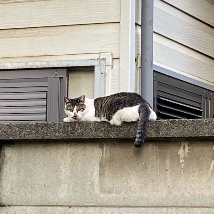 862c2922 964b 40c6 93f9 1c143aa7ec7d 1666506501236