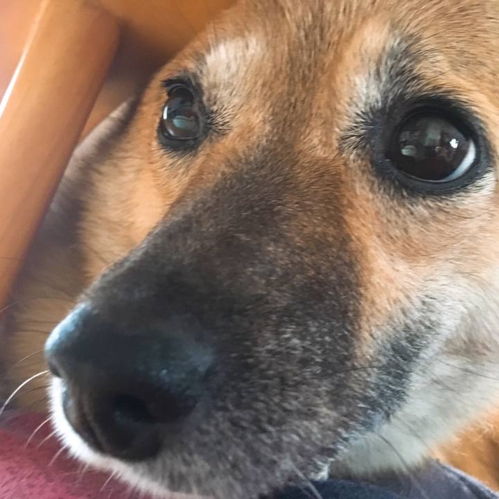 862c2e21 bfac 49fb afe9 74ab73b9f05f 1509111684880